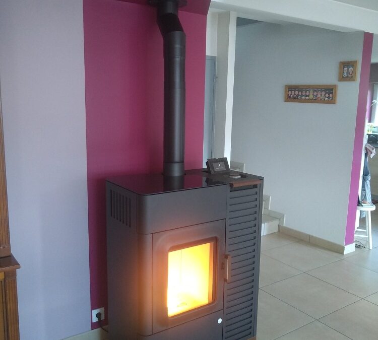 Poêle mixte bois/granulés Austroflamm à Chazelles-sur-Lyon